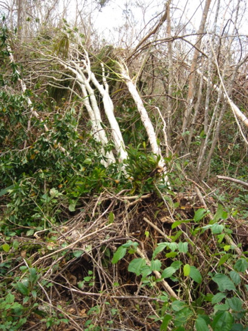 dsc00488.jpg